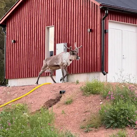 Welcome To Uppana Villa