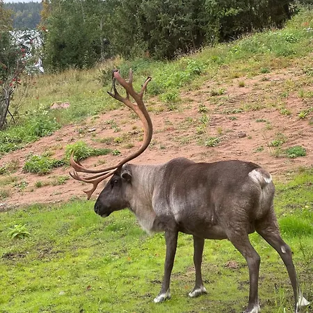 Welcome To Uppana Villa *