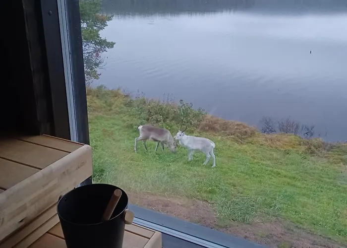 Welcome To Uppana Villa