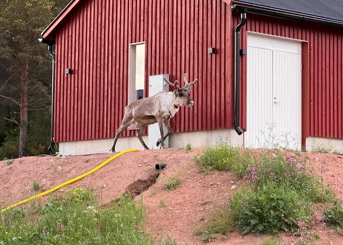 Welcome To Uppana Villa