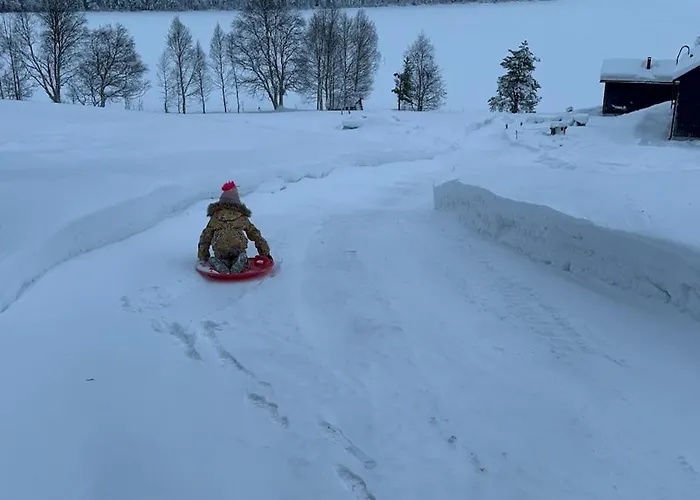 Willa Welcome To Uppana