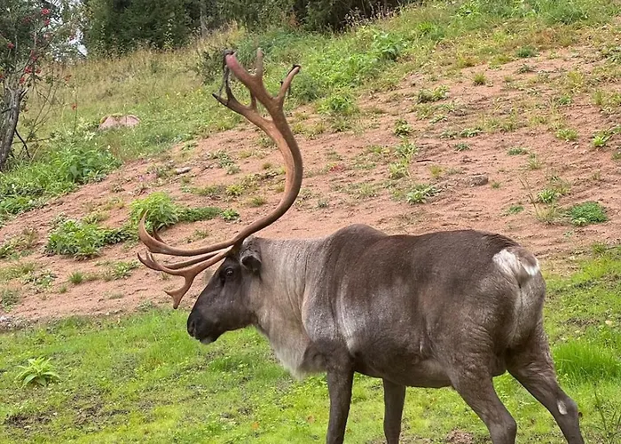 Welcome To Uppana Willa *