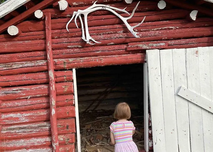 Welcome To Uppana Rovaniemi